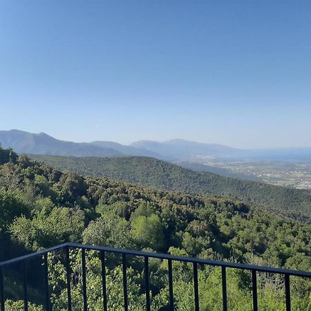 Gite La Fontaine Corse Loreto-di-Casinca Ruang foto