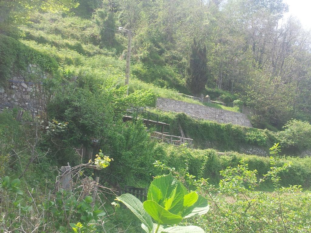 Gite La Fontaine Corse Loreto-di-Casinca Ruang foto